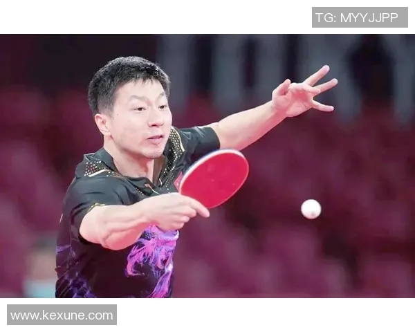 乒乓球的奥秘：深入剖析杭州乒乓球队的战术与训练秘诀