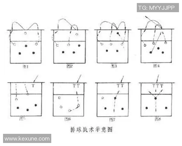 南京排球队的战术分析与控制能力的得失探讨
